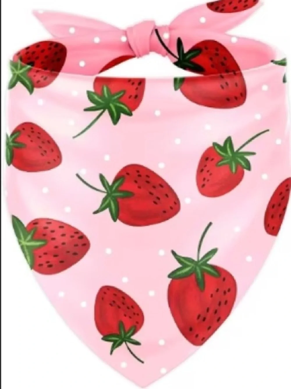 Strawberry Print Pink Pet Bandana